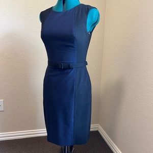 Banana Republic dress 6